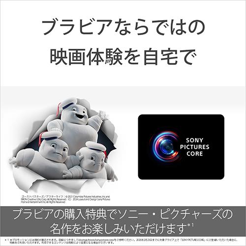 ソニー(SONY) XRJ-55A95L BRAVIA 4K 55V型 有機ELテレビ