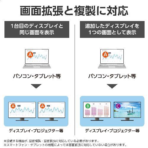 エレコム(ELECOM) AD-CDP2BK2(ブラック) USB Type-C-DisplayPort 変換 ( USB-C プラグ to DP ( ディスプレイポート )×2 ) 8K 30Hz