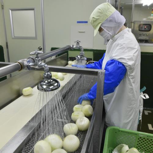 フンドーキン 決めドレシリーズ クリーミーコーンドレッシング 180ml