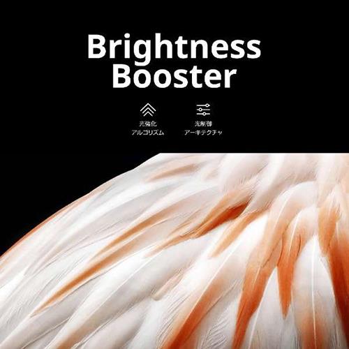 【標準設置料金込】LGエレクトロニクス(LG) OLED97M3PJA 4K 97V型有機ELテレビLG SIGNATURE OLED M3 スマートTV