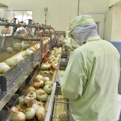 フンドーキン 420MLシリーズ 深煎り焙煎ごまドレッシング 420ml