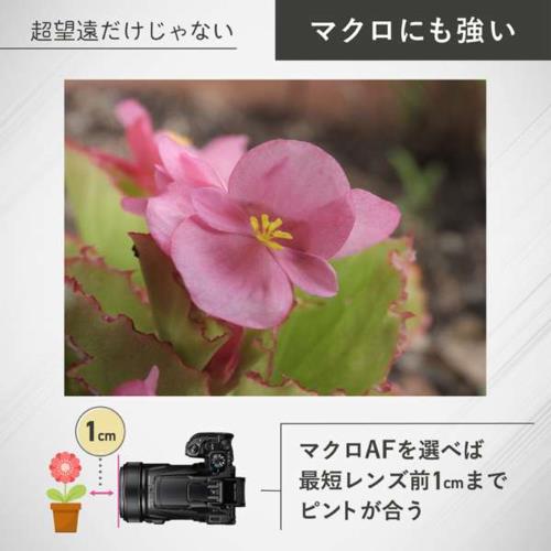 【長期保証付】ニコン(Nikon) COOLPIX P1100 超望遠ズームデジタルカメラ 光学125倍