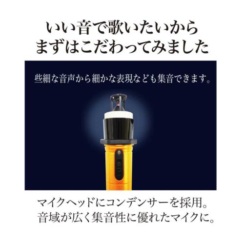 PENTATONIC(ペンタトニック) カラオケマイマイク Pro GTM-200 ステラブルー