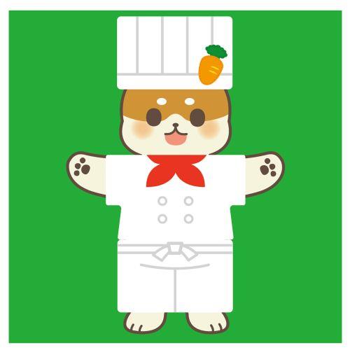 アーテック みつけて！ならべて！きせかえゲーム 11866 [おもちゃ][子ども][知育][室内][遊び][カードゲーム]