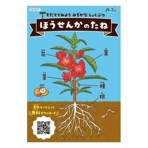 アーテック ほうせんかの種 幼保教材 21231
