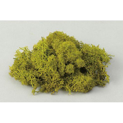 アーテック アイスランドモススプリンググリーン 47759 [栽培][ジオラマ][クラフト][模型][立体模型][素材][工作][製作][材料][ワークショップ][ディスプレイ][草][木][緑]