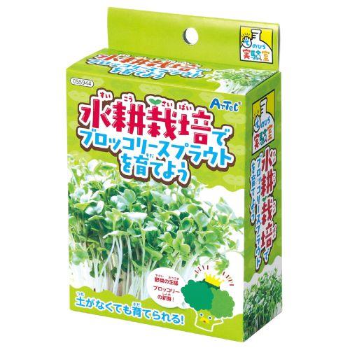 アーテック 水耕栽培でブロッコリースプラウトを育てよう 55944 [サイエンスクラフト][手のひら実験室][実験キット][科学工作][自由研究][工作][栽培][スプラウト][ブロッコリースプラウト]