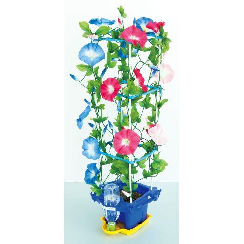 アーテック あさがお栽培セット 93153