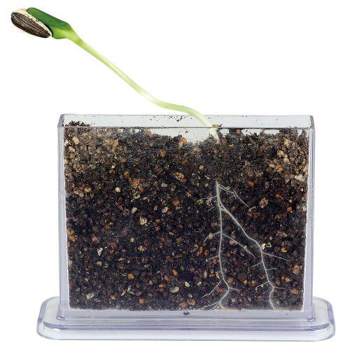 アーテック 身の回りの生物(植物)A 93197