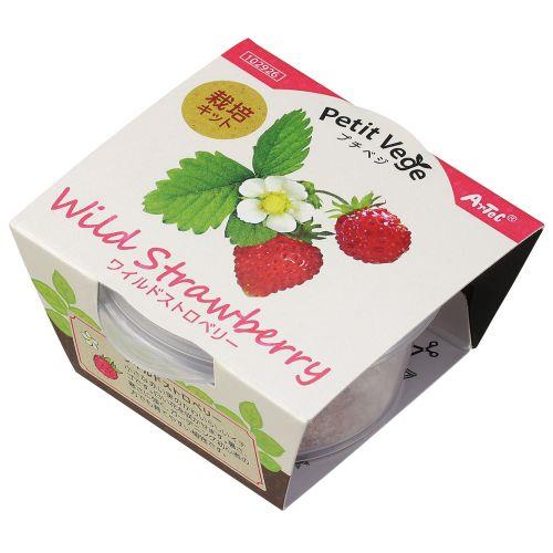 アーテック プチベジ ワイルドストロベリー 102926 [栽培キット][栽培キット][園芸][栽培][自由研究][夏休み][野菜][ﾌﾟﾚｾﾞﾝﾄ][景品][ｶﾌﾟｾﾙ][ｶﾞｰﾃﾞﾝ][ワイルドストロベリー]