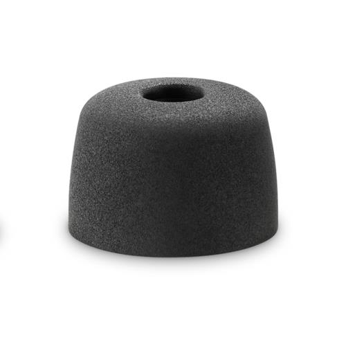 ソニー(SONY) EPNI1010 L イヤーピース Lサイズ