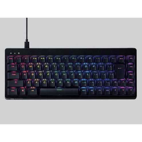 エレコム(ELECOM) TKVK600ABK(ブラック) ゲーミングキーボード USB有線 71キー 日本語配列 GAMING V custom