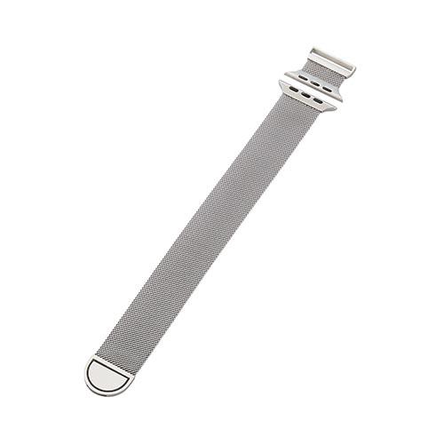 エレコム(ELECOM) AW-45BDSSMMSV(ｼﾙﾊﾞｰ) Apple Watch用 ミラネーゼバンド マグネット(49/45/44/42mm)
