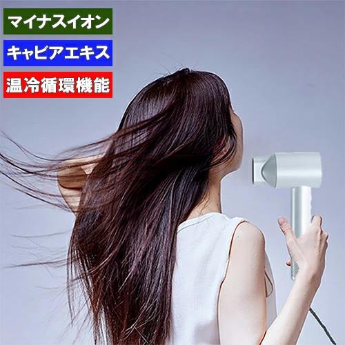 enas イーネーズ Caviar Dryer キャビアドライヤー 大風量 速乾 冷温循環 マイナスイオン ECDR1301 ECDR1301