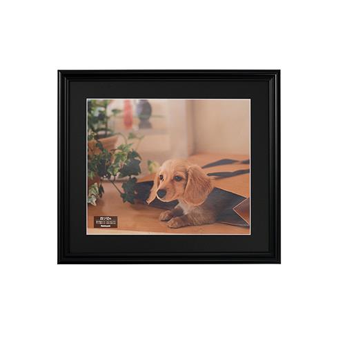 ナカバヤシ F-SP-111-D(ブラック) 樹脂製写真額 四ツ切