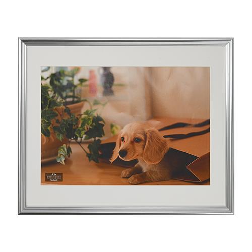 ナカバヤシ F-SP-113-SV シルバー 樹脂製写真額 A3