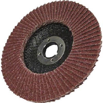 柳瀬 SPA7-10 スパークディスク100X15 A120 10枚入