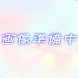 エレコム(ELECOM) CAC-DVSL30BK(ブラック) DVIシングルリンクケーブル デジタル 3m