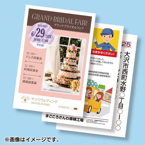 サンワサプライ LBP-HK25KN カラーレーザー用フォト光沢はがき 25枚入