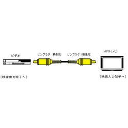 JVC VX-1100G 10Mケーブル