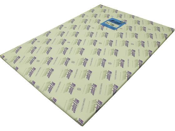 リコー マイペーパーA1 T目 100枚