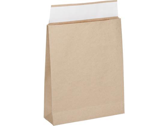 スーパーバッグ 宅配袋 茶無地 小 100枚[代引不可]【仕入先直送品Ａ】