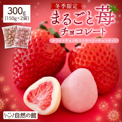 冬季限定 まるごと苺チョコレート300g ホワイトチョコ&ストロベリーチョコセット