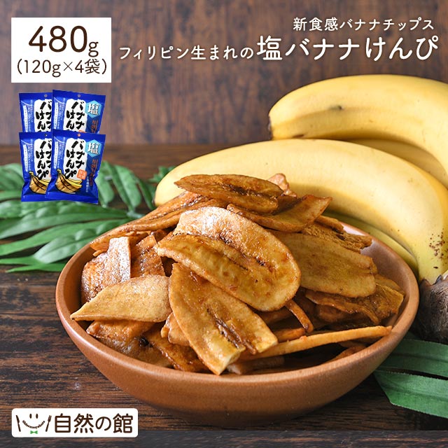 塩バナナけんぴ 480g(120g×4袋)