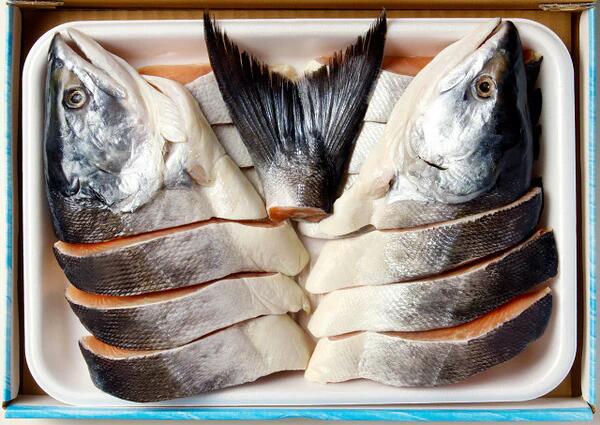 【産直品】根室・鮭匠ふじい 北海道産・鮭丸ごとセット(時しらず鮭姿切身(甘塩)/いくら醤油漬け/塩いくら)※産直品のため他商品との同梱不可、沖縄・離島への配送不可 12/30~1/7の日付指定不可