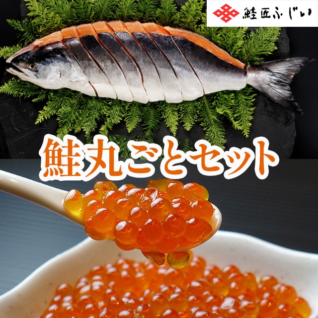 【産直品】根室・鮭匠ふじい 北海道産・鮭丸ごとセット(時しらず鮭姿切身(甘塩)/いくら醤油漬け/塩いくら)※産直品のため他商品との同梱不可、沖縄・離島への配送不可 12/30~1/7の日付指定不可