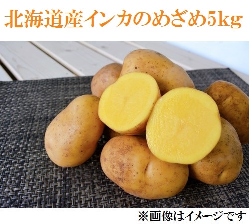 【産直品】 北海道産インカのめざめ S~2L混合 5㎏　※冷蔵発送、産直品のため他商品との同梱不可、沖縄・離島への配送不可