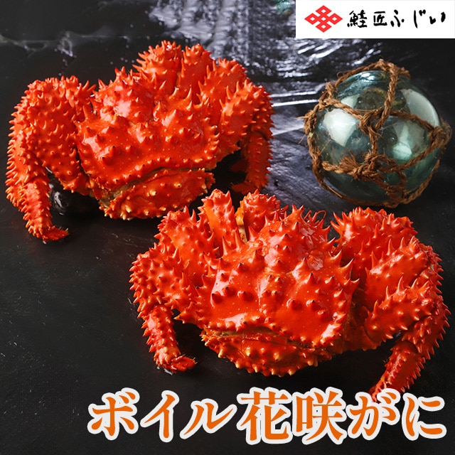 【産直品】根室・藤井水産　根室産ボイル花咲がに2尾（計800ｇ）※産直品のため他商品との同梱不可、沖縄・離島への配送不可　12/30～1/7の日付指定不可