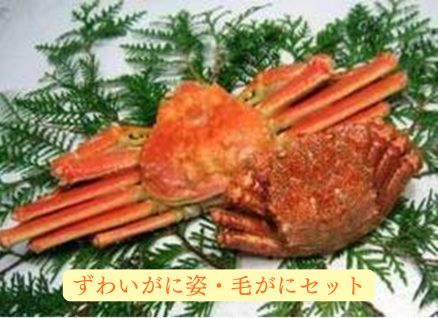 【産直品】ずわいがに姿・毛がにセット　※産直品のため他商品との同梱不可、沖縄・離島への配送不可　12/29～1/10の日付指定不可