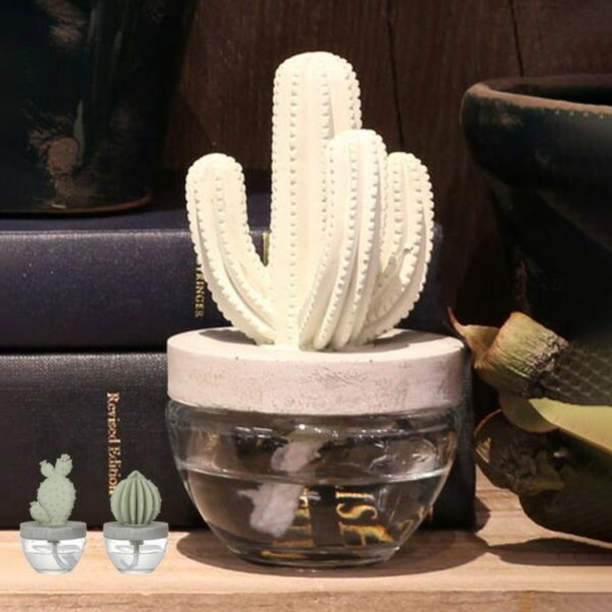 ディフューザー ダルトン DULTON カクタスフレグランスディフューザー サボテン Elegantpeony （ 芳香剤 ルームフレグランス アロマディフューザー 香り フレグランス 多肉植物 アロマオイル アロマグッズ ガラス 部屋 玄関 洗面所 ） 【Elegantpeony】