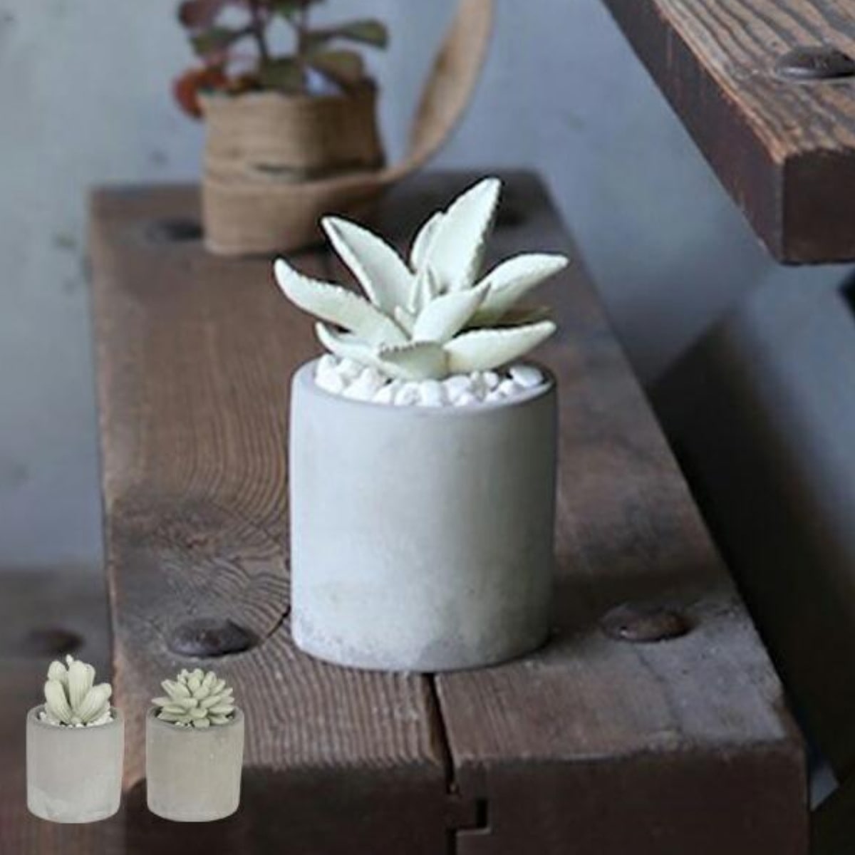 ディフューザー ダルトン DULTON アロエフレグランスディフューザー 多肉植物 アロエ （ 芳香剤 ルームフレグランス アロマディフューザー 香り フレグランス アロマオイル アロマグッズ カクタス ガラス 部屋 玄関 洗面所 寝室 ） 【アロエ】