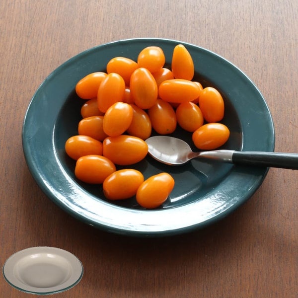 アウトドア 食器 お皿 ダルトン DULTON 直径20.6cm （ アウトドア食器 キャンプ食器 プレート 皿 ホーロープレート ホーロー 臭い 付きにくい 汚れ 落ちやすい 耐久性 普段使い キャンプ ） 【 ベージュグリーン 】