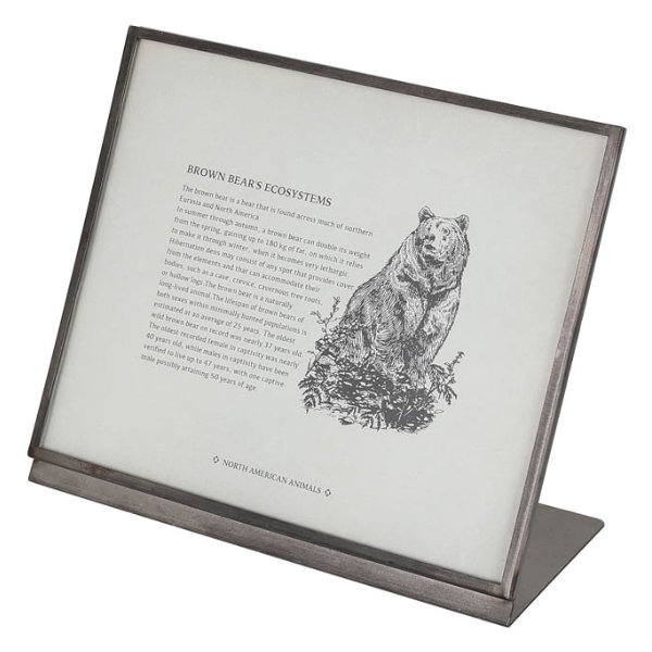 フレーム メタル 幅20.5cm ダルトン DULTON （ 写真立て フォトフレーム 額 額縁 L字 写真たて フォトスタンド ポストカード アートフレーム メタルフレーム メニュー立て プライス立て ）