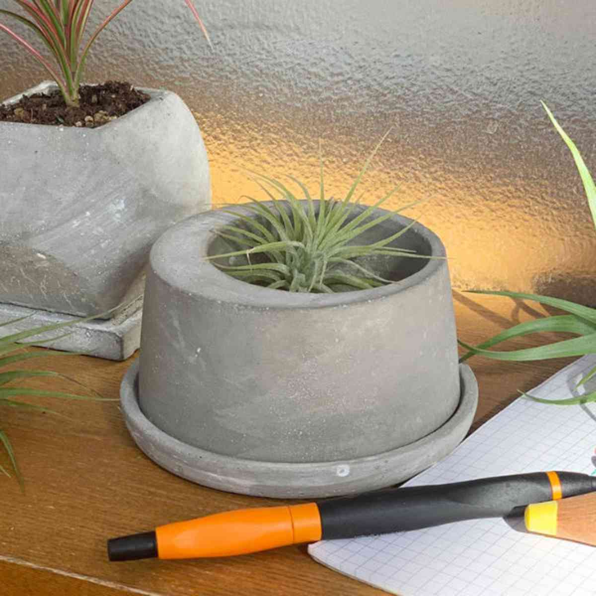 プランター 植木鉢 セメントポット オーバル ダルトン DULTON （ プラントポット 鉢植え ソーサー付き セメント 鉢 ポット 穴あり 水抜き穴 園芸 ソーサー 受け皿 付き インテリア フラワーポット おしゃれ ）