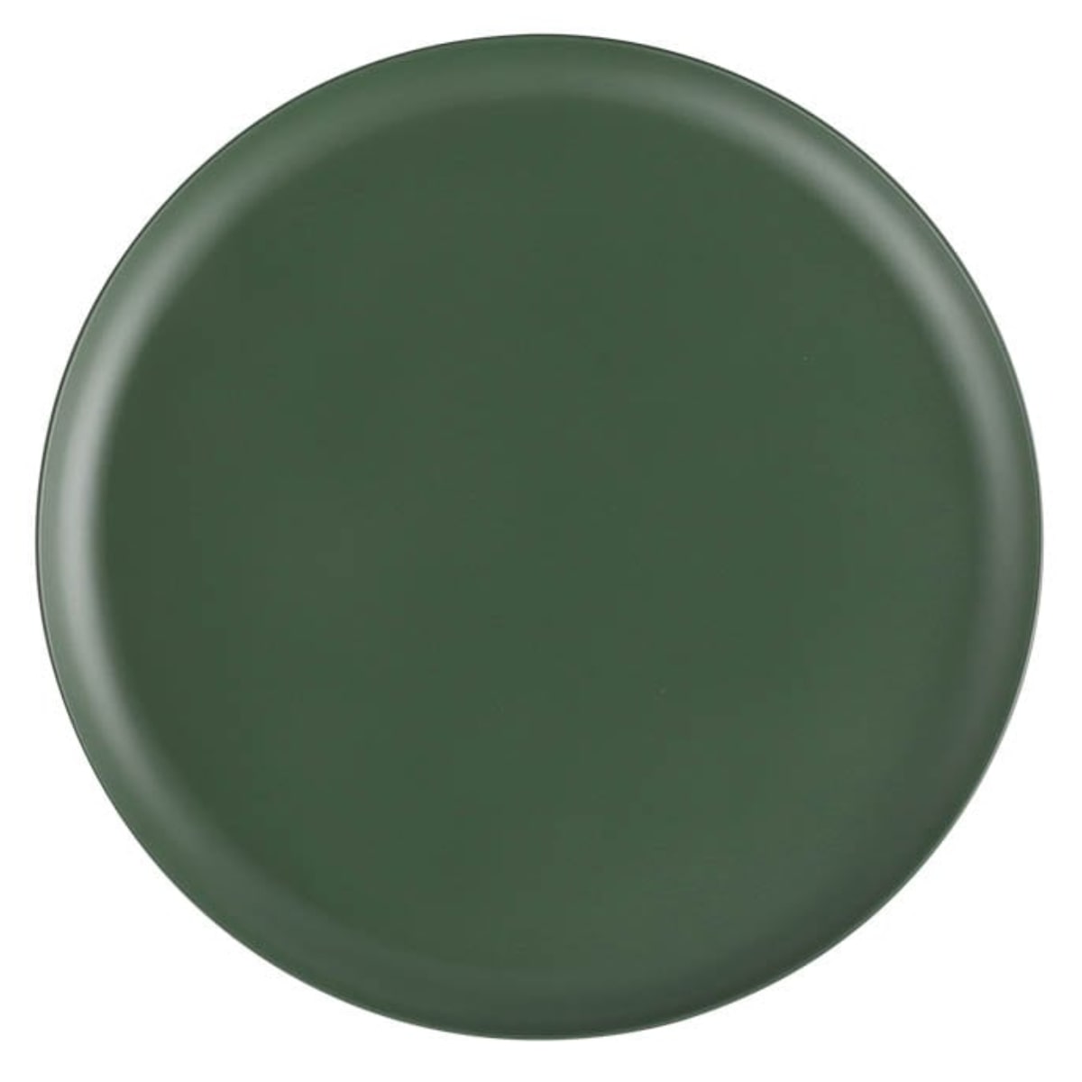 プレート 26.5cm L M&B シャロープレート プラスチック バンブーファイバー （ 食洗機対応 大皿 皿 お皿 バンブー 竹 割れにくい 軽い ビタミンカラー アウトドア キャンプ ピクニック メイン料理 子ども おしゃれ ）【 グリーン 】