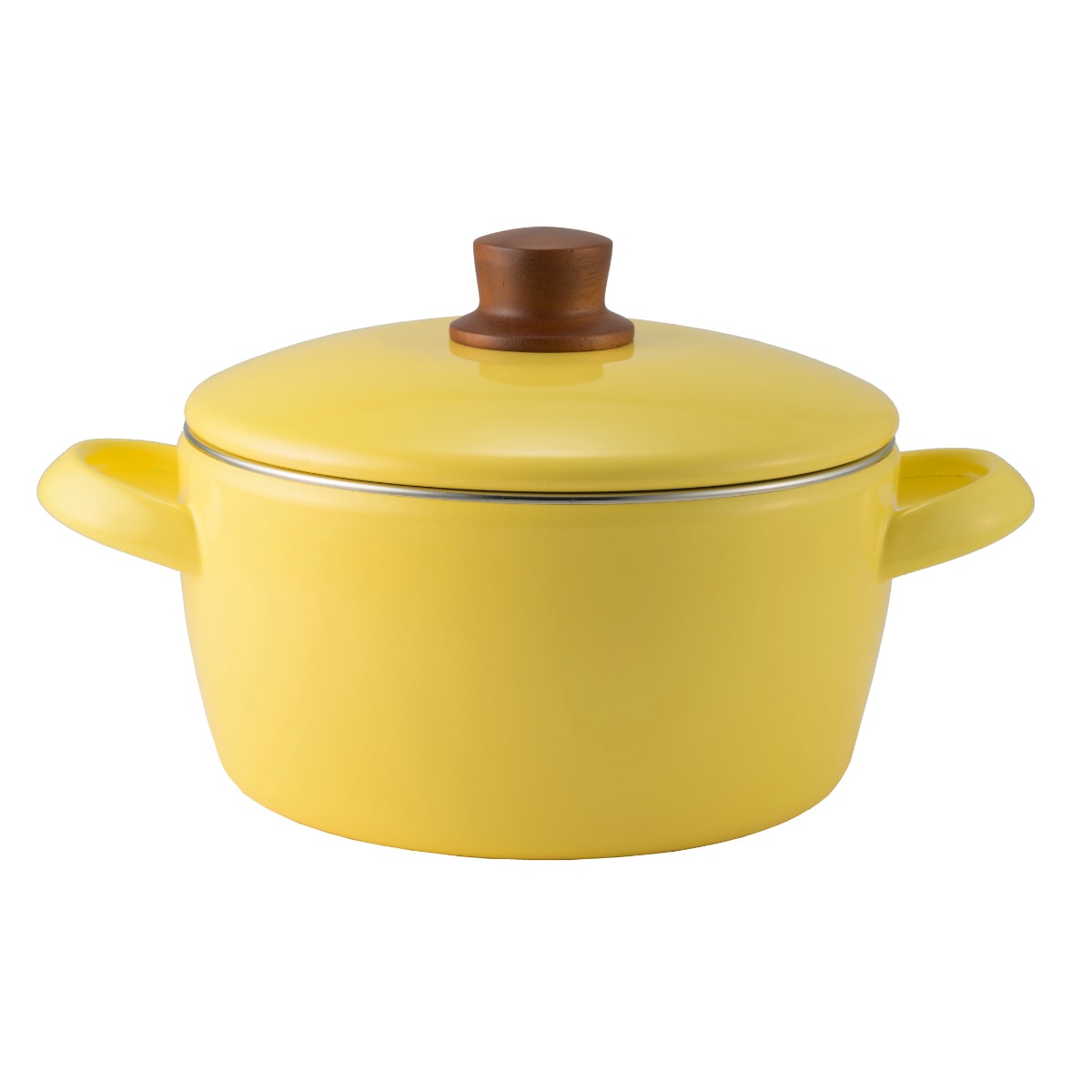 キャセロール 20cm IH対応 ナチュール 両手鍋 富士ホーロー （ Honey Ware ハニーウェア ガス火対応 ホーロー鍋 蓋付き 20センチ ほうろう鍋 琺瑯鍋 両手なべ ふた付き ） 【バターイエロー】