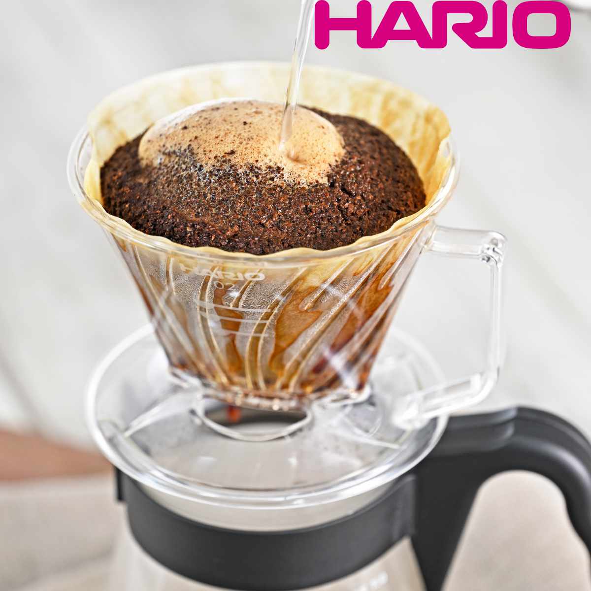 ハリオ ドリッパー コーヒーフィルターセット 2～4杯用 ペガサス プラスチック （ HARIO 食洗機対応 コーヒードリッパー コーヒーフィルター コーヒーブリューワー コーヒー 用品 器具 コーヒーウェア 珈琲 ）
