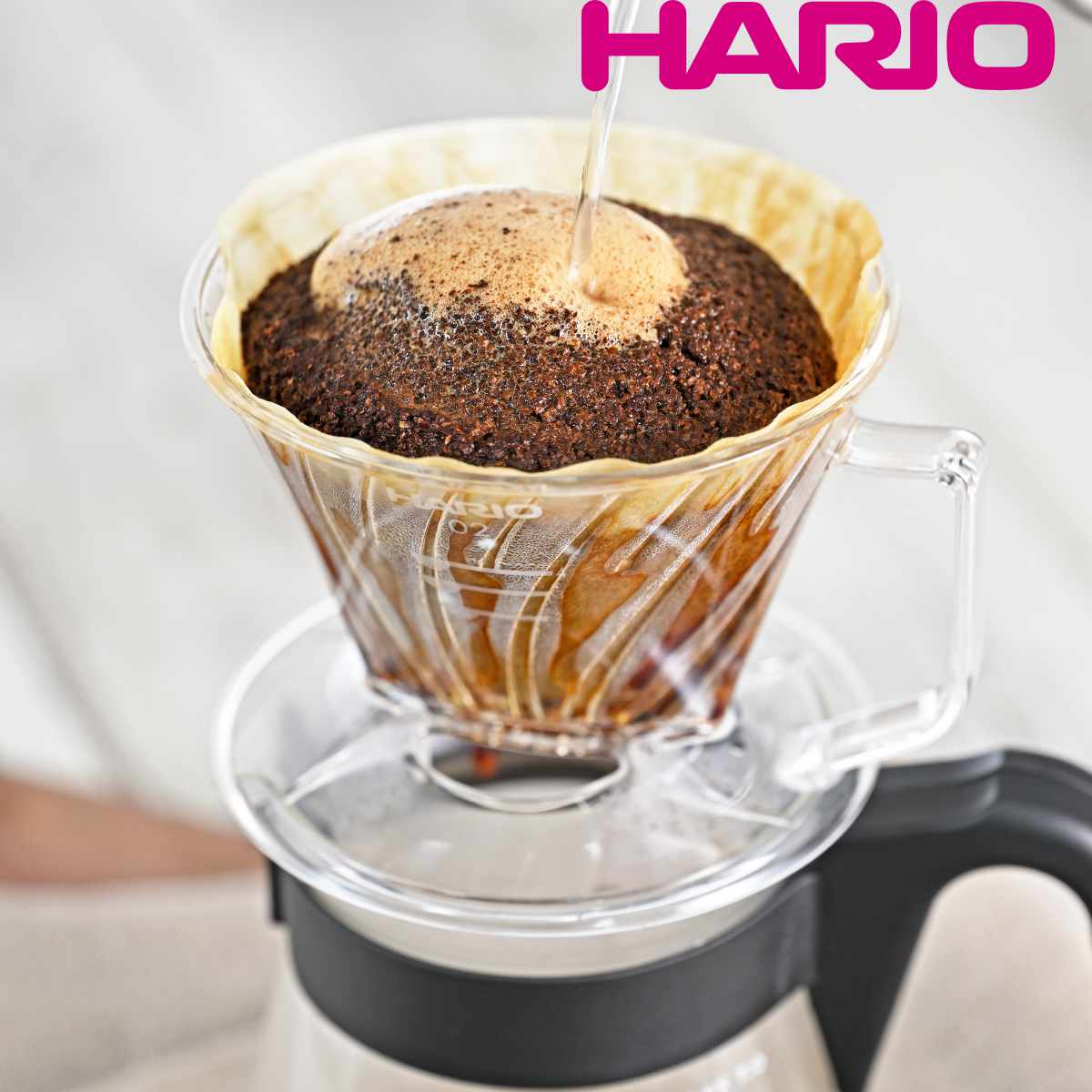 ハリオ ドリッパー 1～2杯用 ペガサス プラスチック （ HARIO 食洗機対応 コーヒードリッパー コーヒーブリューワー コーヒー 用品 器具 コーヒーウェア 珈琲 ハンドドリップ おしゃれ ）