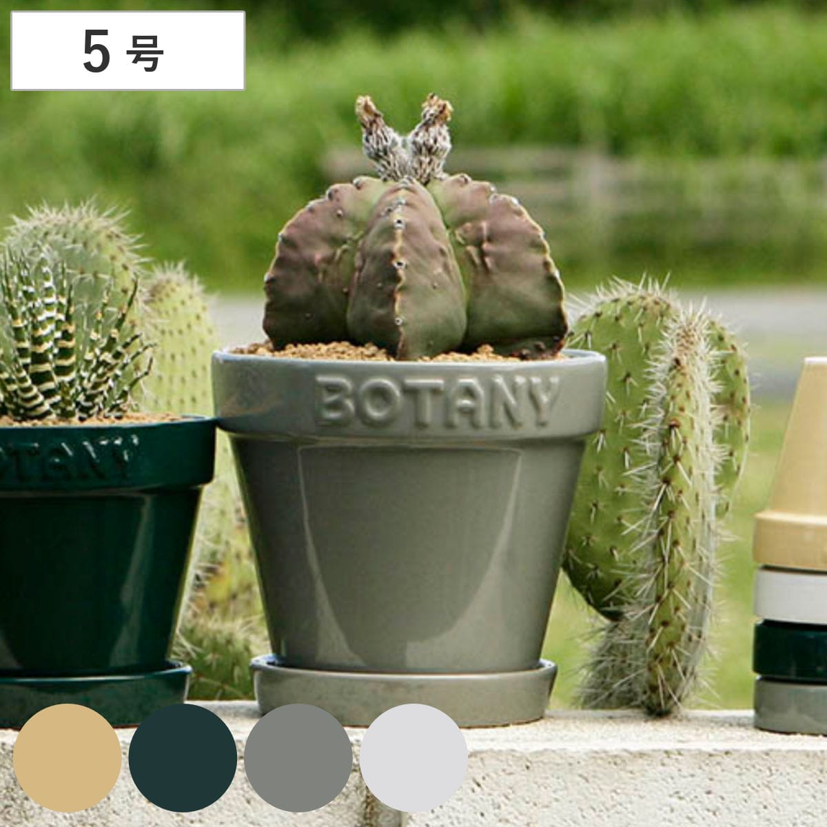 ダルトン 植木鉢 ボタニーポット 5号鉢 ガーデンポット （ DULTON プランター プラントポット 植物用ポット 鉢 花器 鉢カバー ポット セラミック 丸 植木鉢カバー 花 水抜き穴付き 受け皿 植物 観葉植物 園芸 直植え おしゃれ ） 【ベージュ】