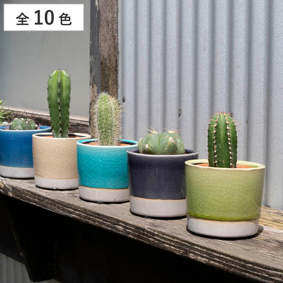 ダルトン 植木鉢 カラー グレイズド ポット カバー 直径8cm ガーデンポット （ 鉢カバー ポットカバー 鉢 植木鉢カバー プランターカバー テラコッタ製 プランター ガーデニング 観葉植物 花 おしゃれ かわいい 2号 ） 【クレイ】