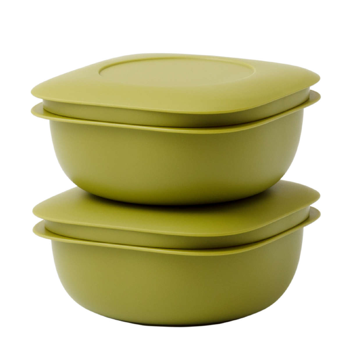 冷凍ご飯容器 蒸気であたためる 冷凍ごはん容器 2個組 保存容器 ライクイット （ 電子レンジ調理器 プラスチック 冷凍 ごはん容器 蒸し器 日本製 like-it ご飯容器 食洗機対応 容器 保存 調理 冷凍ごはん ザル すのこ ） 【グリーン】