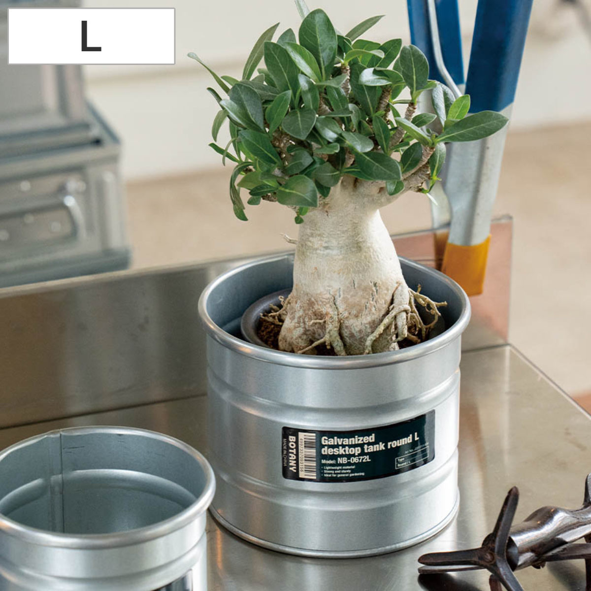 植木鉢 ガルバナイズド デスクトップ タンク L ダルトン （ DULTON 鉢カバー ポットカバー 植木鉢カバー プランター カバー プランターバスケット 円形 筒型 ドラム缶 直径14.5cm 小型植物 観葉植物 小型 鉢植え 花 収納 小物入れ ）