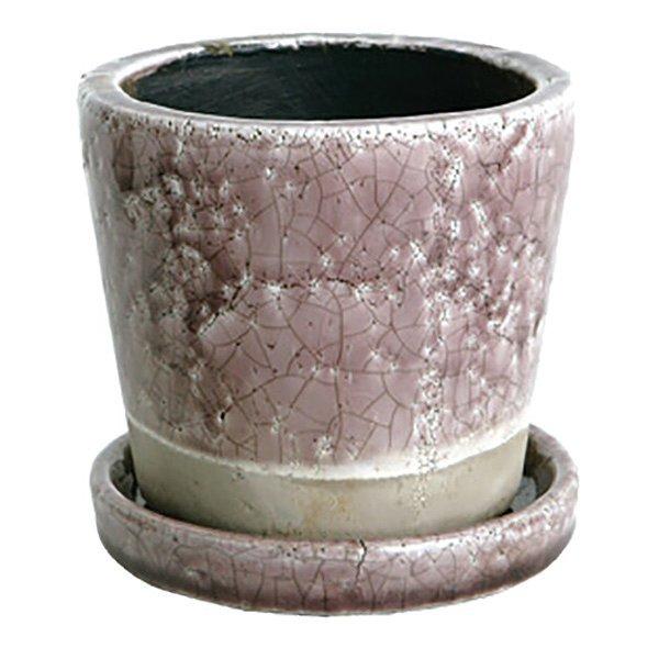 ライトパープル