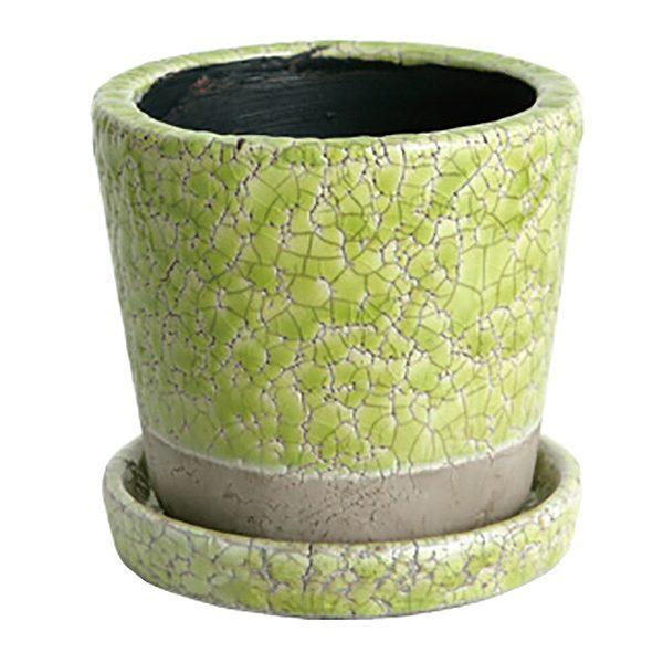 ライムグリーン