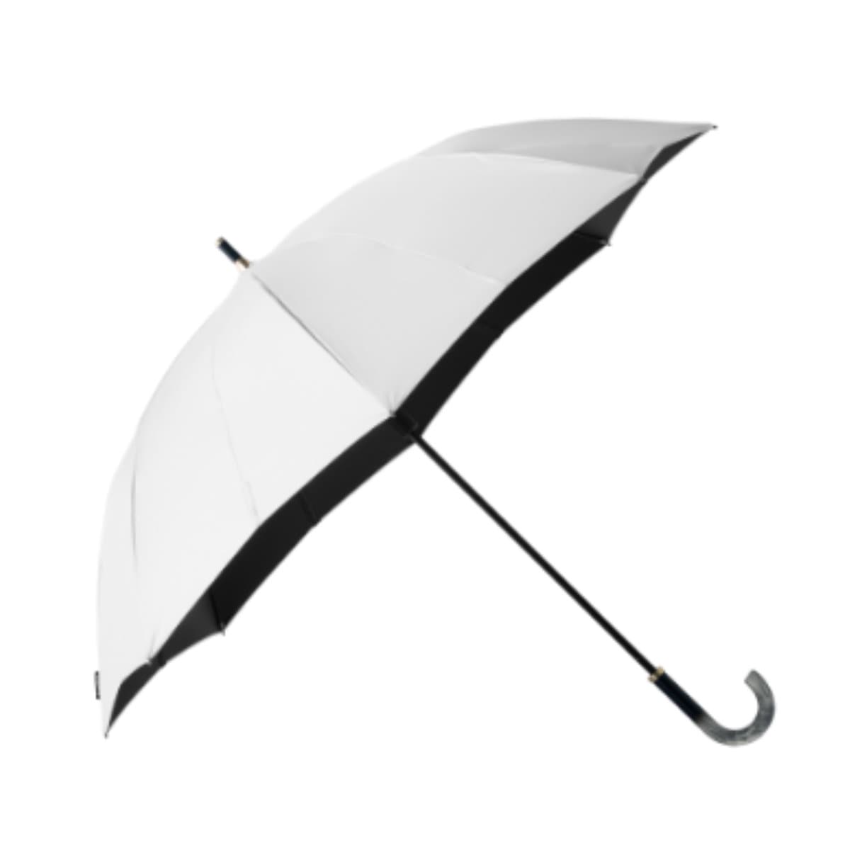 シェルホワイト