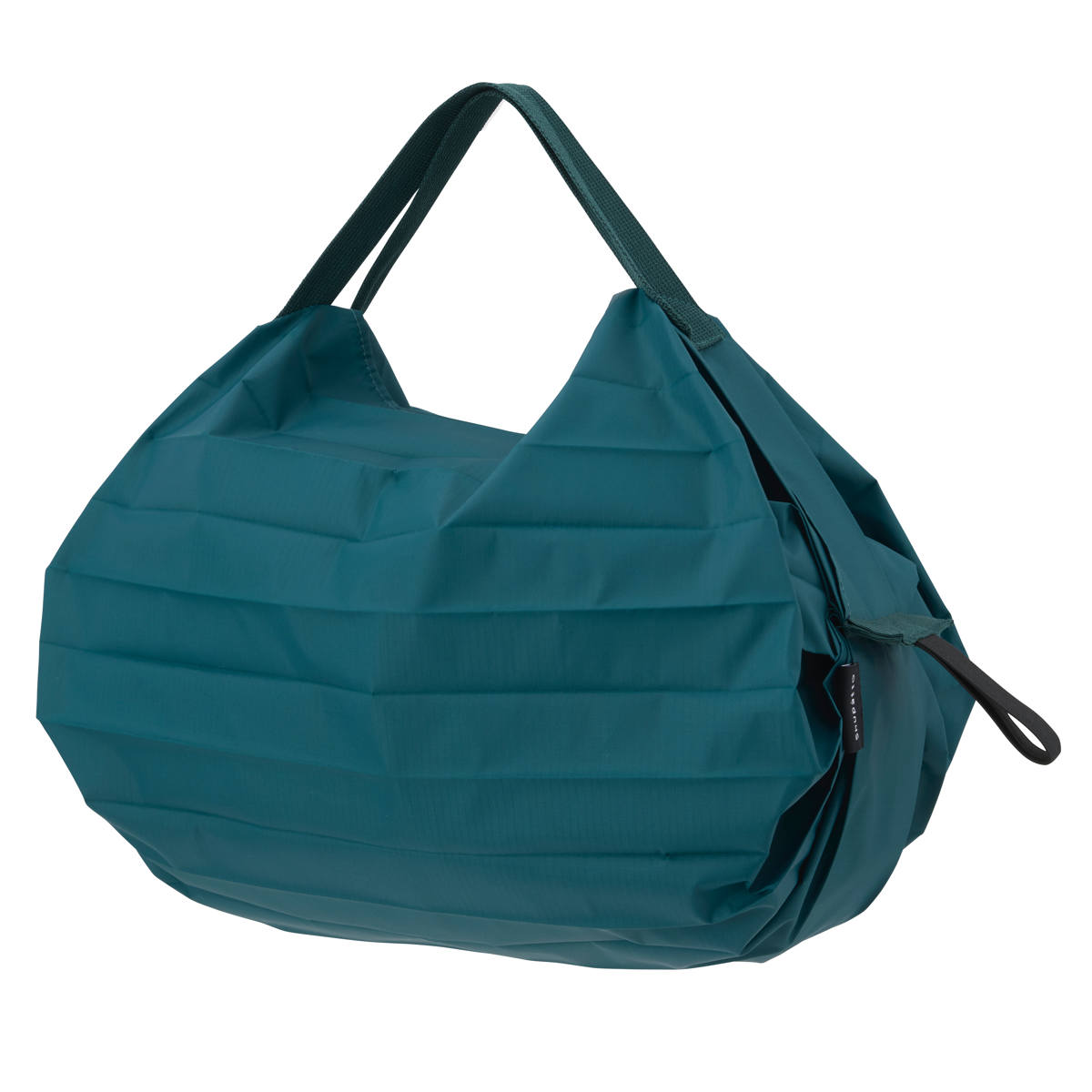 エバーグリーン